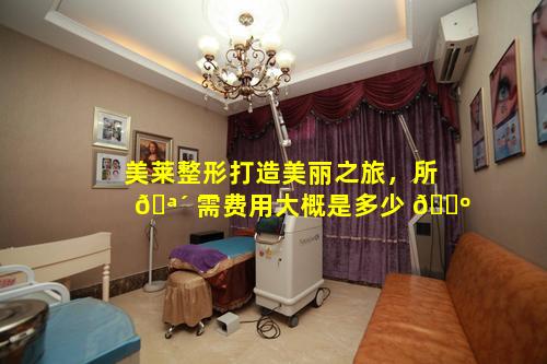 美莱整形打造美丽之旅，所 🪴 需费用大概是多少 🐺